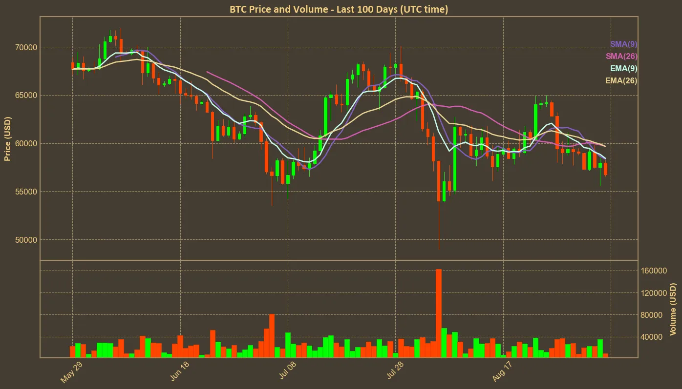 Chart with btc price