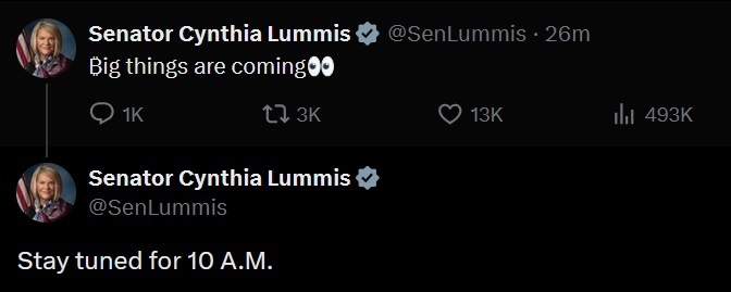 Picture showing Cynthia Lummis tweets