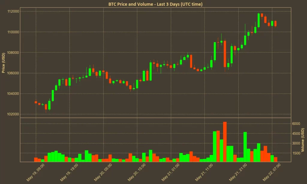 Bitcoin Above $110,000 - But Can the Rally Keep Going? Chart showing Bitcoin (BTC) price action over the past three days